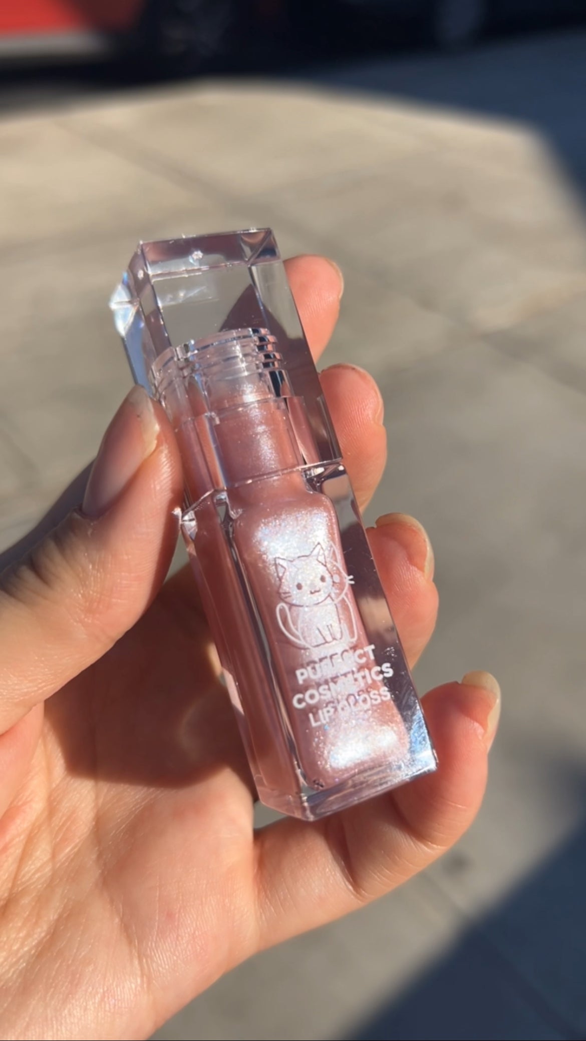 Limited Edition Glosses