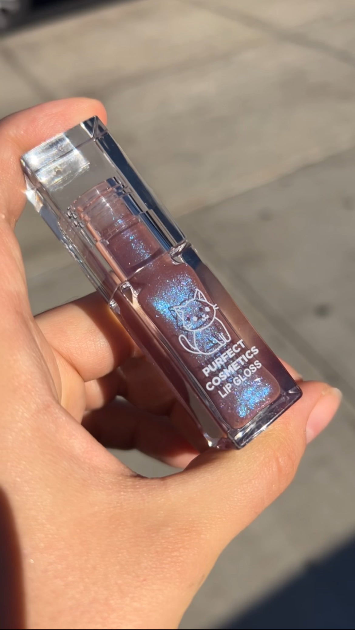 Limited Edition Glosses